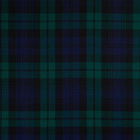 Tartan Kilt Flashes